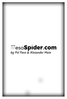 MESA SPIDER